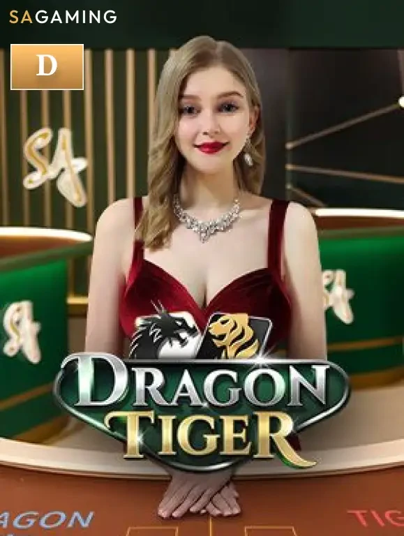 MAN88 D Dragon Tiger